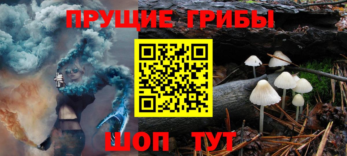 Нефтекамск  Псилоцибиновые грибы мицелий  Вход с VPN 